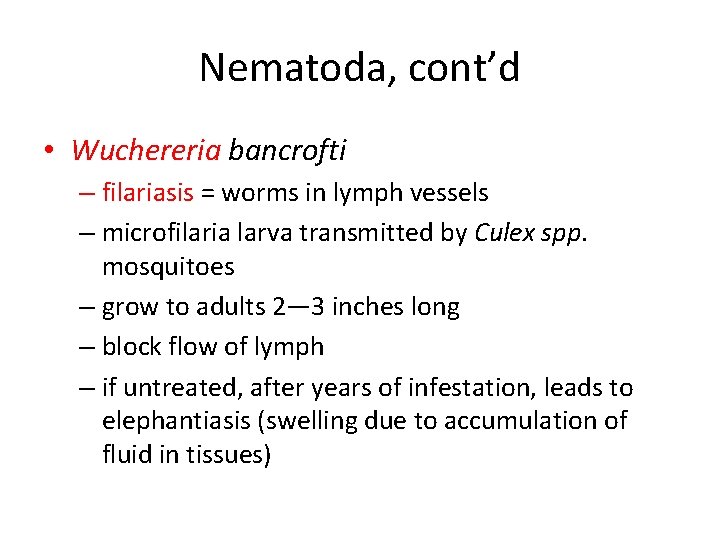 Nematoda, cont’d • Wuchereria bancrofti – filariasis = worms in lymph vessels – microfilaria