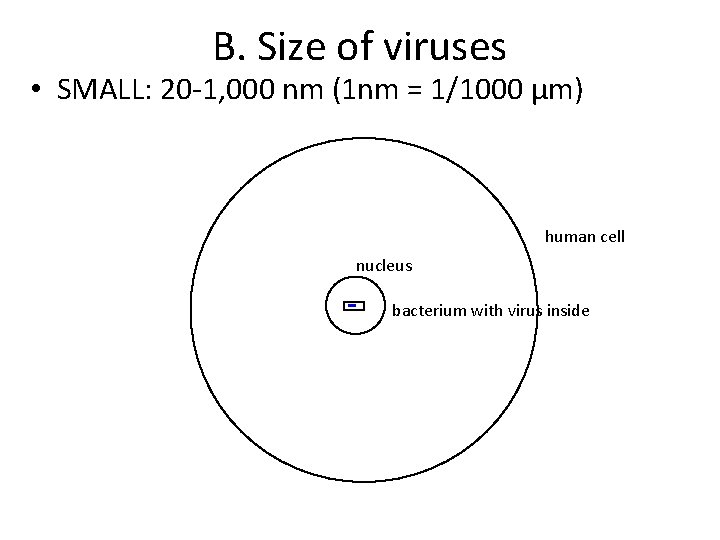 B. Size of viruses • SMALL: 20 -1, 000 nm (1 nm = 1/1000