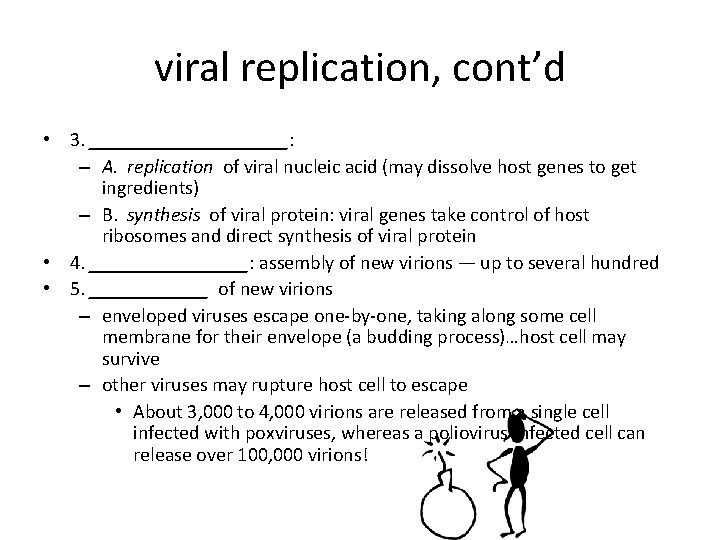 viral replication, cont’d • 3. __________: – A. replication of viral nucleic acid (may