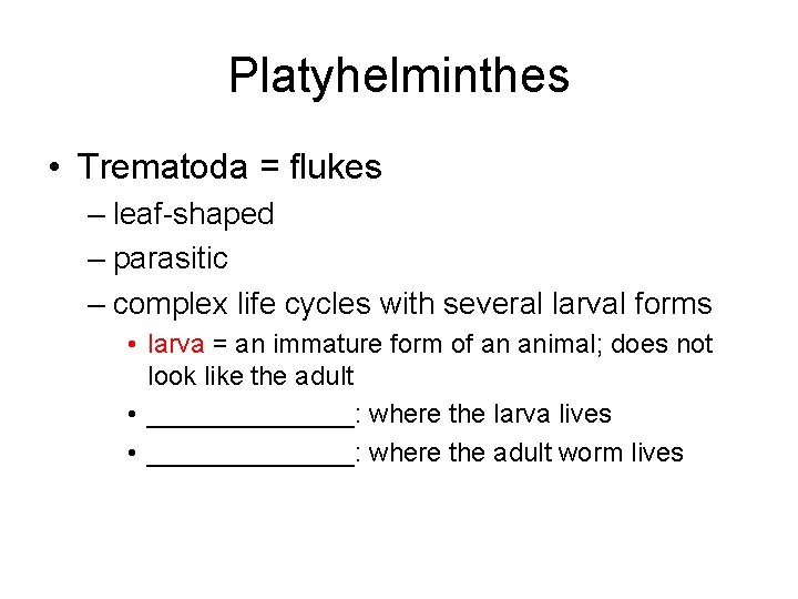 Platyhelminthes • Trematoda = flukes – leaf-shaped – parasitic – complex life cycles with