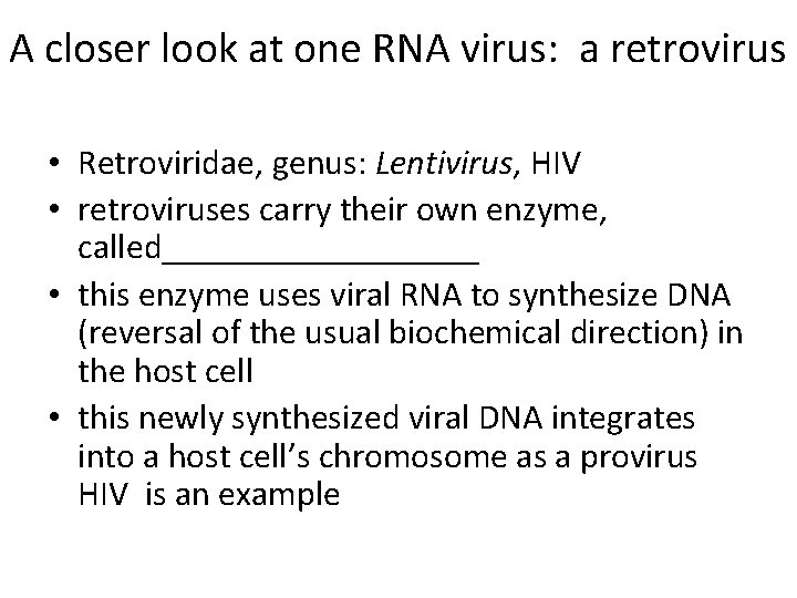 A closer look at one RNA virus: a retrovirus • Retroviridae, genus: Lentivirus, HIV