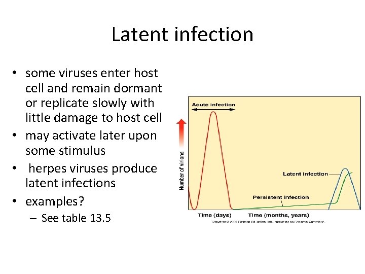 Latent infection • some viruses enter host cell and remain dormant or replicate slowly