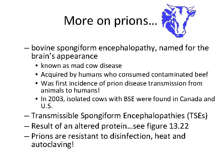 More on prions… – bovine spongiform encephalopathy, named for the brain’s appearance • known