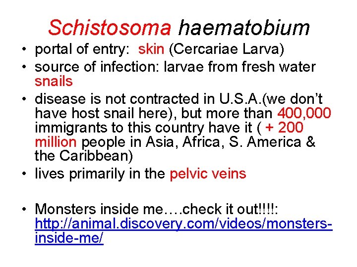 Schistosoma haematobium • portal of entry: skin (Cercariae Larva) • source of infection: larvae