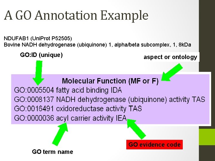 Introduction to the Gene Ontology A Users Guide