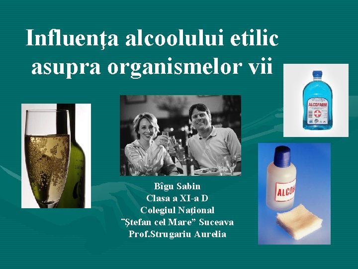Influenţa alcoolului etilic asupra organismelor vii Bîgu Sabin Clasa a XI-a D Colegiul Naţional