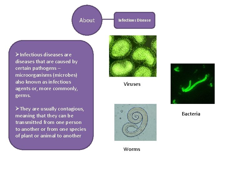 About ØInfectious diseases are diseases that are caused by certain pathogens – microorganisms (microbes)