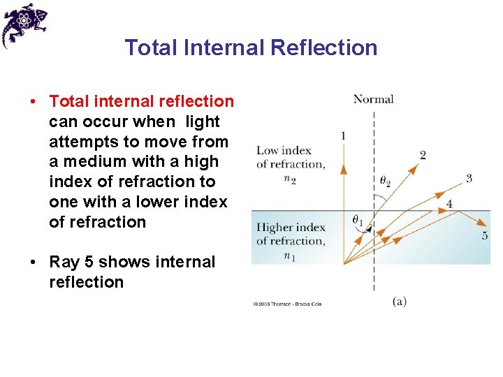 Total Internal Reflection • Total internal reflection can occur when light attempts to move