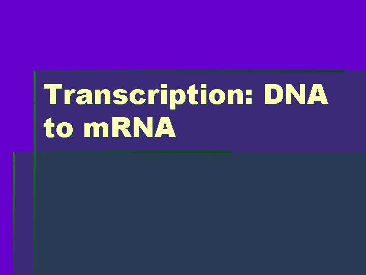 Transcription: DNA to m. RNA 