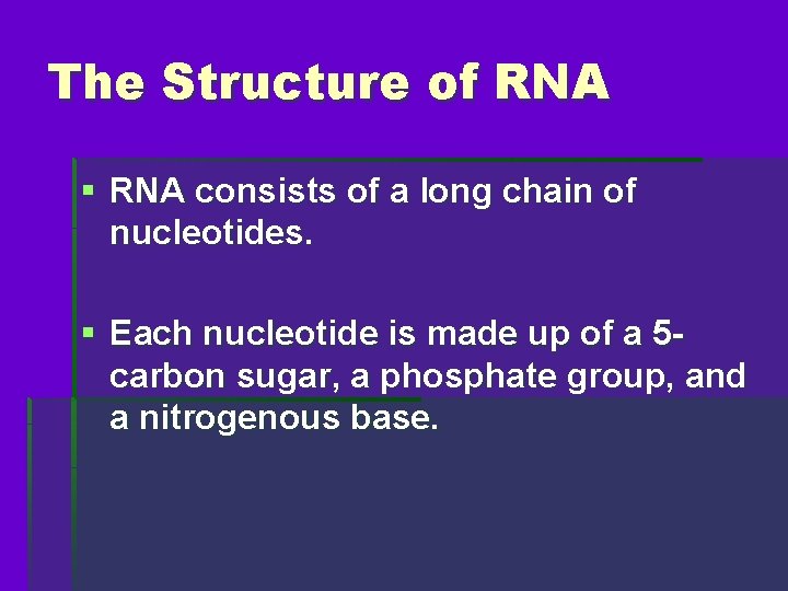 The Structure of RNA § RNA consists of a long chain of nucleotides. §