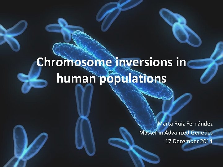 Chromosome inversions in human populations Marta Ruiz Fernández Master in Advanced Genetics 17 December