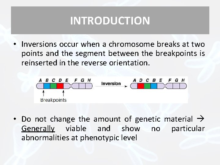 INTRODUCTION • Inversions occur when a chromosome breaks at two points and the segment