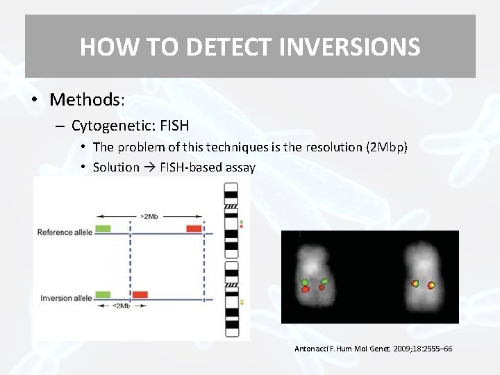 HOW TO DETECT INVERSIONS • Methods: – Cytogenetic: FISH • The problem of this