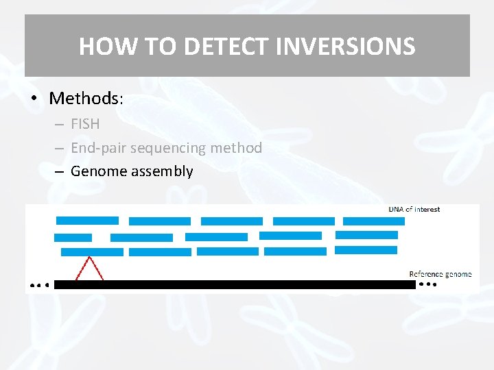 HOW TO DETECT INVERSIONS • Methods: – FISH – End-pair sequencing method – Genome