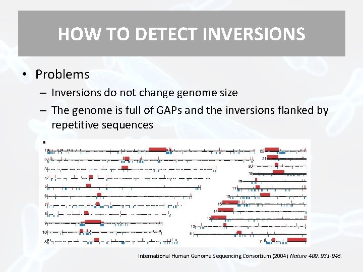 HOW TO DETECT INVERSIONS • Problems – Inversions do not change genome size –