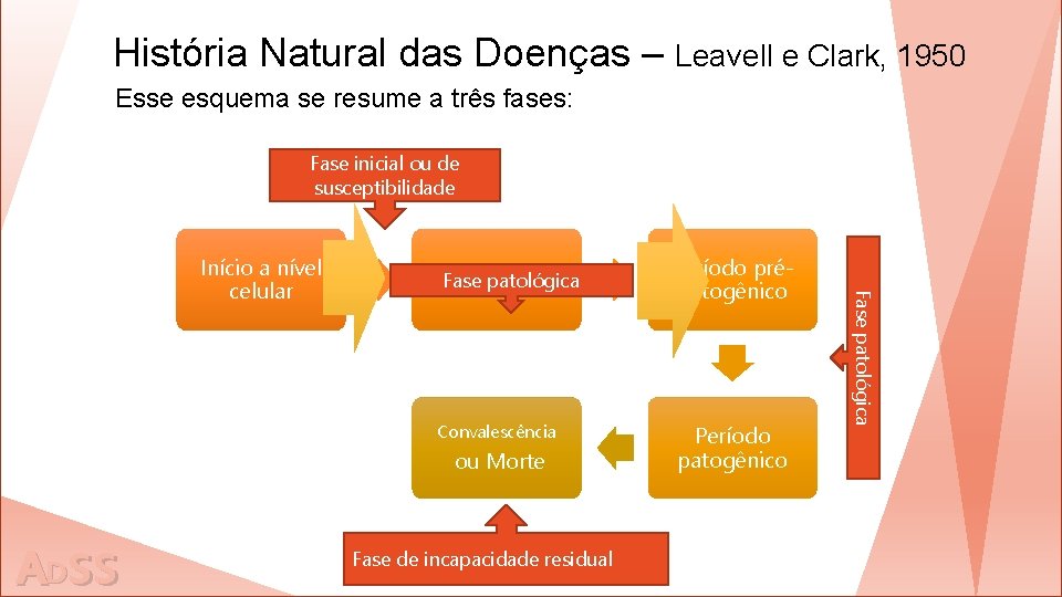 História Natural das Doenças – Leavell e Clark, 1950 Esse esquema se resume a