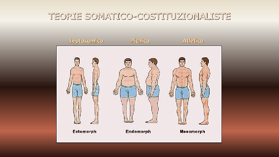 TEORIE SOMATICO-COSTITUZIONALISTE Leptosomico Picnico Atletico 