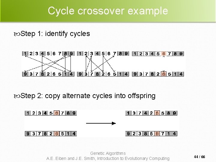 Cycle crossover example Step 1: identify cycles Step 2: copy alternate cycles into offspring Cycle crossover example Step 1: identify cycles Step 2: copy alternate cycles into offspring