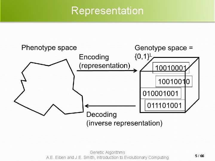 Representation Genetic Algorithms A. E. Eiben and J. E. Smith, Introduction to Evolutionary Computing Representation Genetic Algorithms A. E. Eiben and J. E. Smith, Introduction to Evolutionary Computing