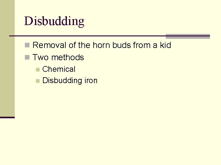 Disbudding n Removal of the horn buds from a kid n Two methods n