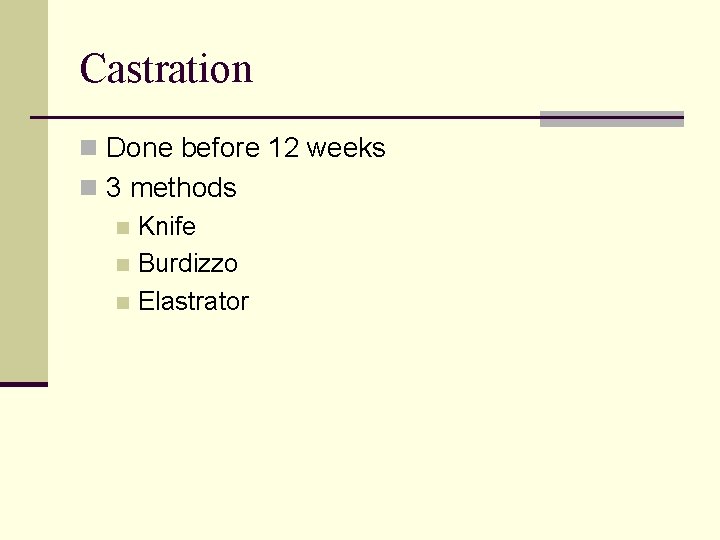 Castration n Done before 12 weeks n 3 methods n Knife n Burdizzo n