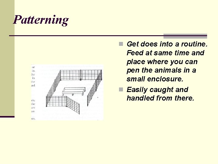 Patterning n Get does into a routine. Feed at same time and place where