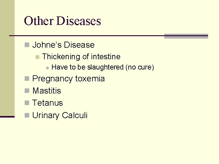 Other Diseases n Johne’s Disease n Thickening of intestine n Have to be slaughtered