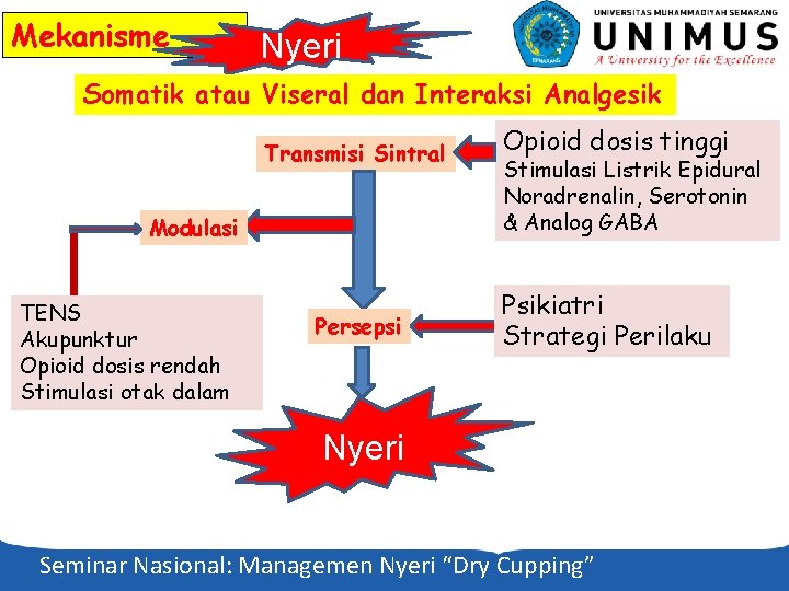 Mekanisme Nyeri Somatik atau Viseral dan Interaksi Analgesik Transmisi Sintral Modulasi TENS Akupunktur Opioid