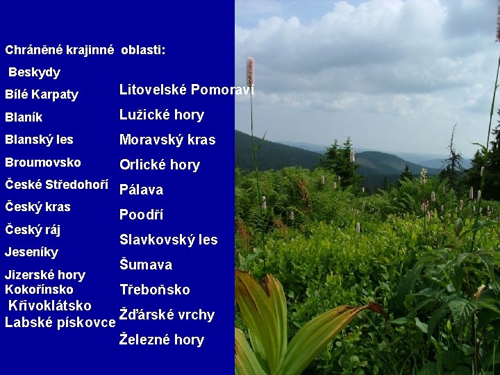 Chráněné krajinné oblasti: Beskydy Bílé Karpaty Litovelské Pomoraví Blaník Lužické hory Blanský les Moravský
