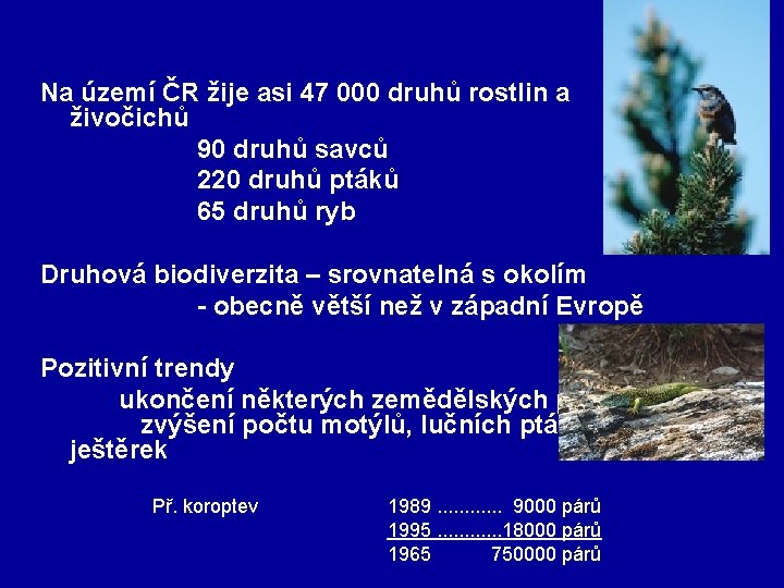 Na území ČR žije asi 47 000 druhů rostlin a živočichů 90 druhů savců