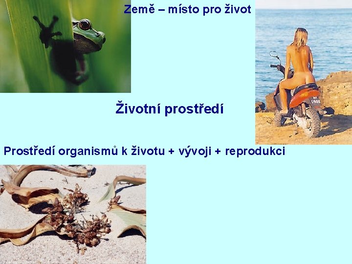 Země – místo pro život Životní prostředí Prostředí organismů k životu + vývoji +