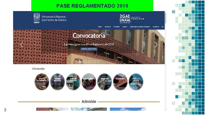 PASE REGLAMENTADO 2019 3 