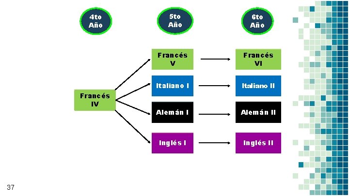 4 to Año Francés IV 37 5 to Año 6 to Año Francés VI