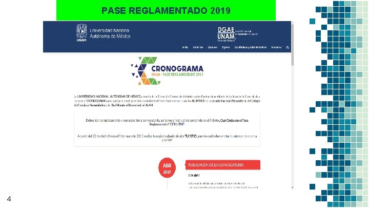 PASE REGLAMENTADO 2019 4 PASE REGLAMENTADO 2019 4
