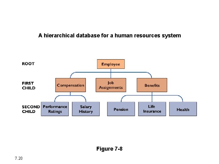 The Database Approach to Data Management A hierarchical database for a human resources system
