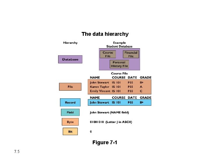 Organizing Data in a Traditional File Environment The data hierarchy Figure 7 -1 7.