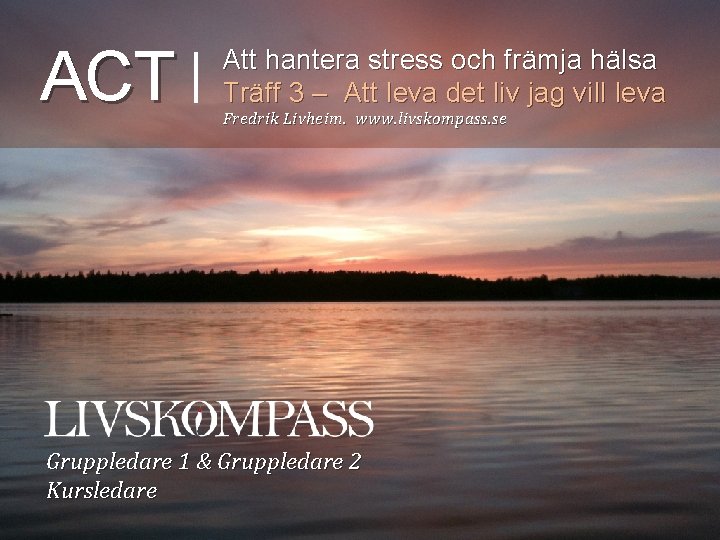 ACT Att hantera stress och främja hälsa Träff 3 – Att leva det liv
