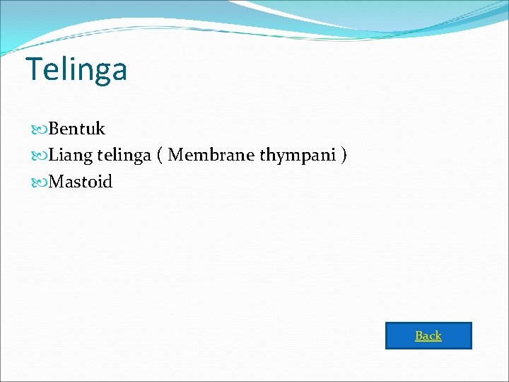 Telinga Bentuk Liang telinga ( Membrane thympani ) Mastoid Back 