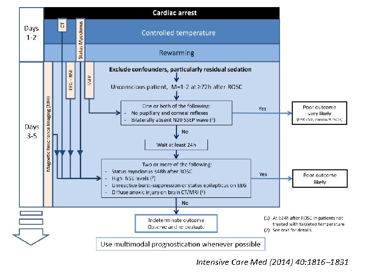 Intensive Care Med (2014) 40: 1816– 1831 