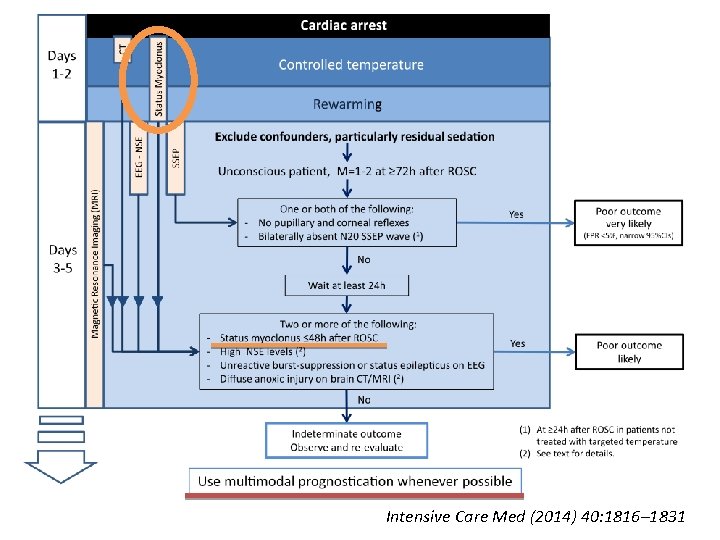 Intensive Care Med (2014) 40: 1816– 1831 