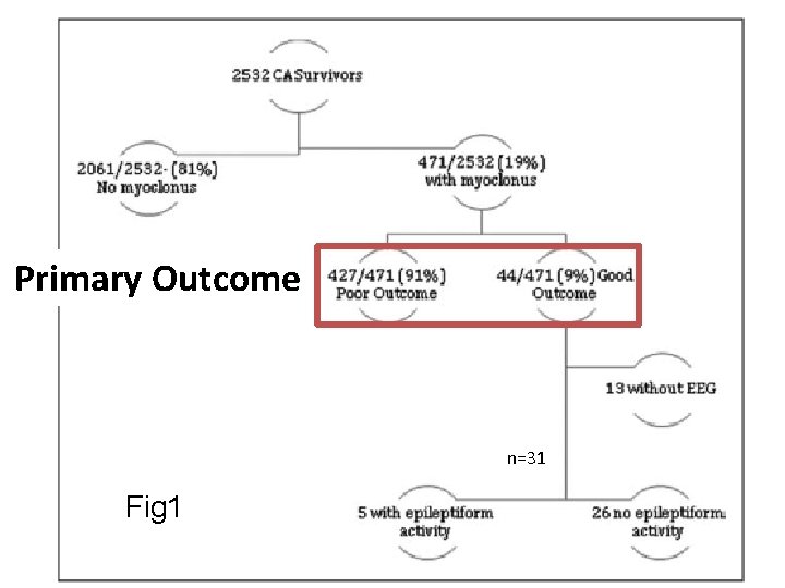 Primary Outcome n=31 Fig 1 