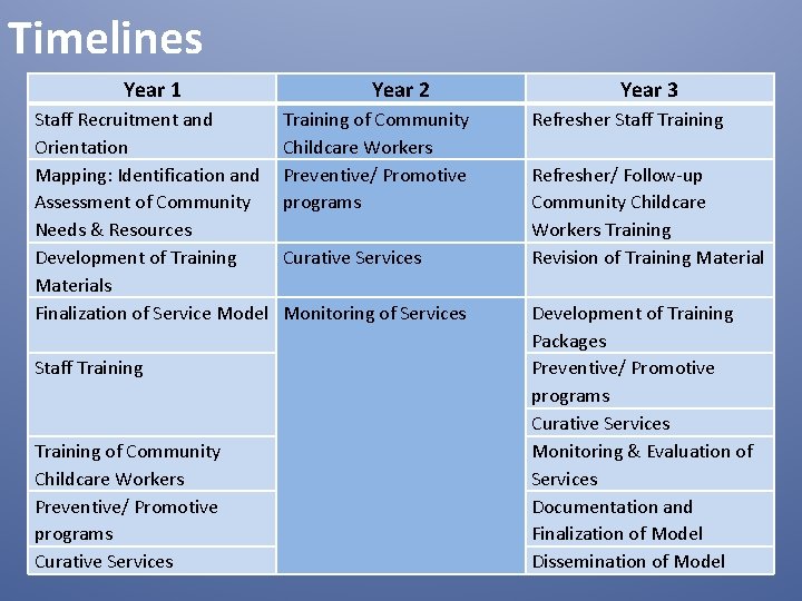 Timelines Year 1 Staff Recruitment and Orientation Mapping: Identification and Assessment of Community Needs