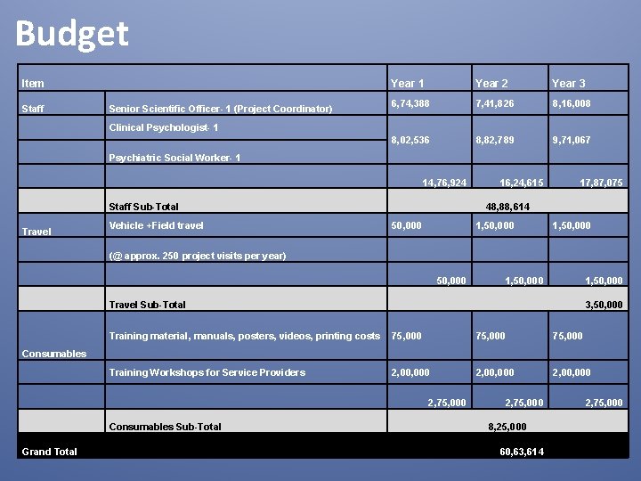 Budget Item Staff Senior Scientific Officer- 1 (Project Coordinator) Year 1 Year 2 Year