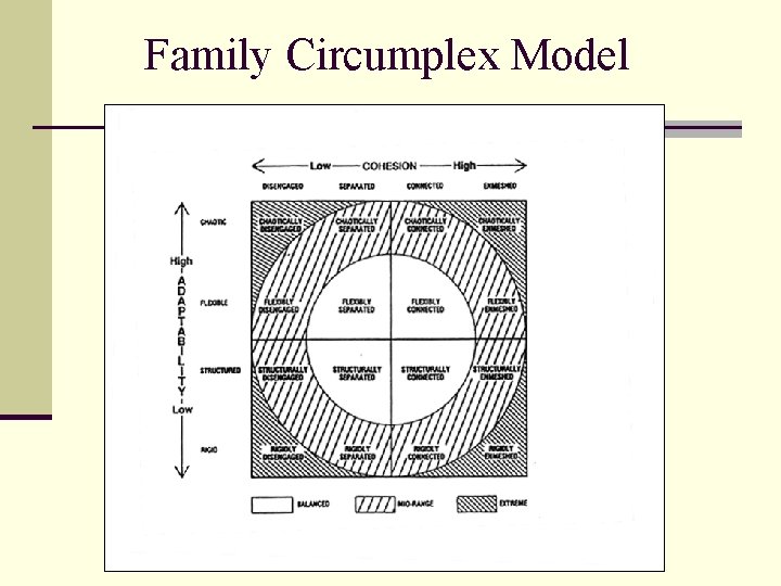 Family Circumplex Model 