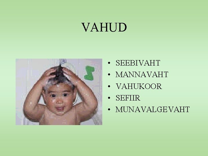 VAHUD • • • SEEBIVAHT MANNAVAHT VAHUKOOR SEFIIR MUNAVALGEVAHT 