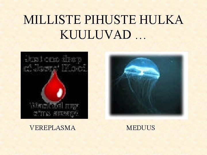 MILLISTE PIHUSTE HULKA KUULUVAD … VEREPLASMA MEDUUS 