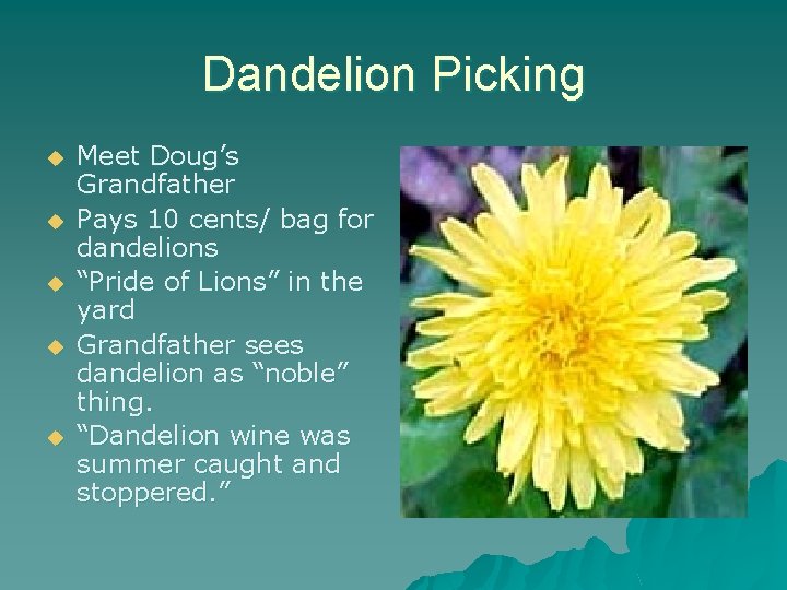 Dandelion Picking u u u Meet Doug’s Grandfather Pays 10 cents/ bag for dandelions