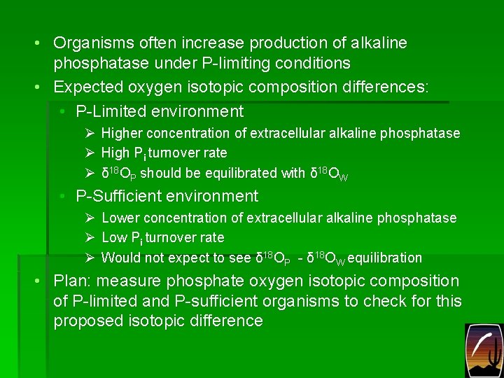  • Organisms often increase production of alkaline phosphatase under P-limiting conditions • Expected