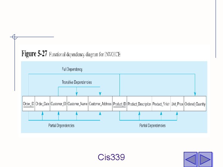 Cis 339 