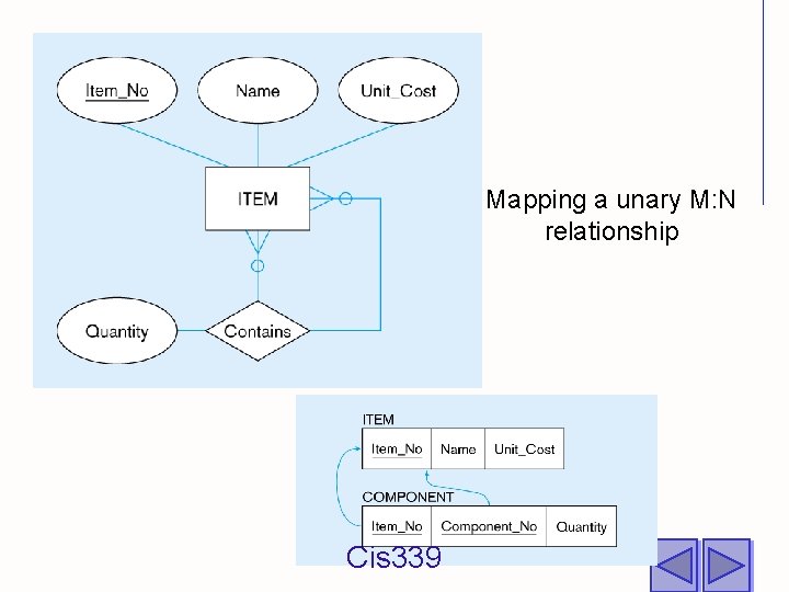 Mapping a unary M: N relationship Cis 339 